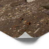 アーチ型歩くインペルガモン ポスター (角)