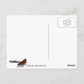 アーチ形の繊細なアーチ – 岩の窓から ポストカード (裏面)