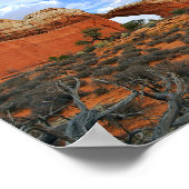 アーチ（アーチ）、アーチ（アーチ） ポスター (角)