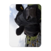 アーツカウマグネット マグネット (縦)