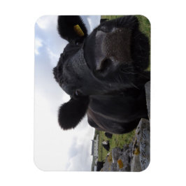 アーツカウマグネット マグネット