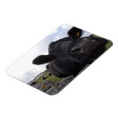 アーツカウマグネット マグネット (左側)