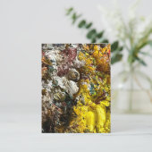 アーティストのパレット#1 サンキューカード (スタンド正面)