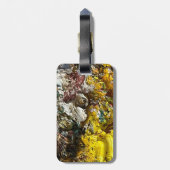 アーティストのパレット#1 ラゲッジタグ (裏面縦)