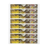 アーティストのパレット#1 ラップアラウンド宛名ラベル (シート)