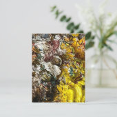 アーティストのパレット#1 招待状 (スタンド正面)