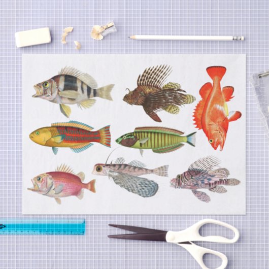 アーティストインプレッション海シーライフ魚種 薄葉紙 (クラフト)