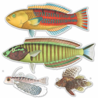 アーティストインプレッション熱帯魚イラストレーションビニル シール