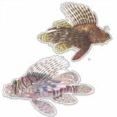 アーティストインプレッション熱帯魚イラストレーションビニル シール (正面)