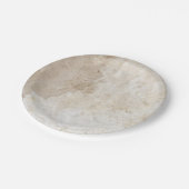 アーティストスタジオキャンバスアンティークパーチメントエレガントアート ペーパープレート (アングル)