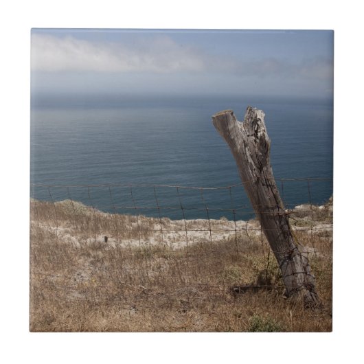 アーティストズリトリート タイル (正面)