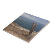 アーティストズリトリート タイル (側面)