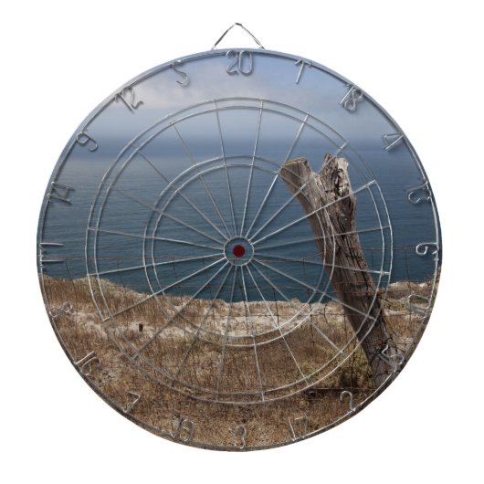 アーティストズリトリート ダーツボード (正面)