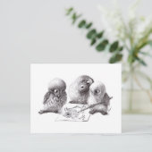 アーティストフール ポストカード (スタンド正面)