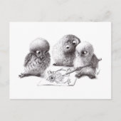 アーティストフール ポストカード (正面)