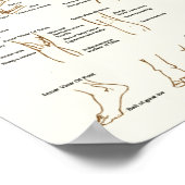 アーティスト向け人間の表面解剖図 ポスター (角)