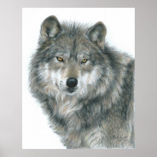 アーティスト幽霊のよく出る・カーラ・カートの「目」ウルフのポスター ポスター (正面)