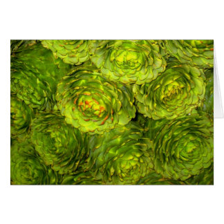 アーティチョークのブティック