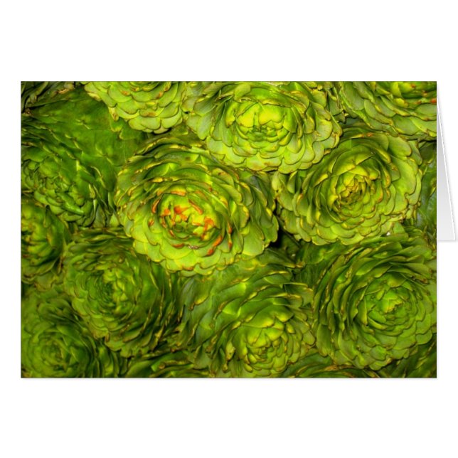 アーティチョークのブティック (正面横)