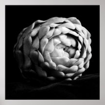 アーティチョーククローズアップ白黒フォト