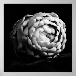 アーティチョーククローズアップ白黒フォト ポスター