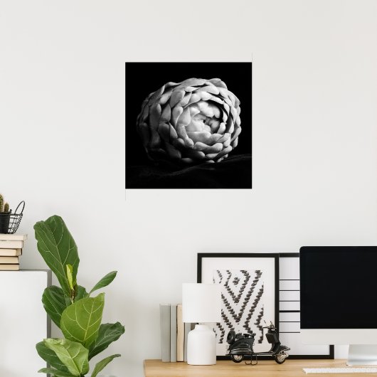 アーティチョーククローズアップ白黒フォト ポスター (ホームオフィス)