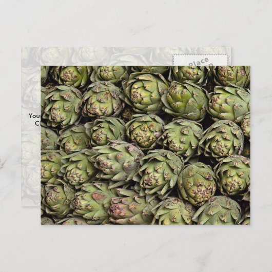 アーティチョーク写真 ポストカード (正面/裏面)