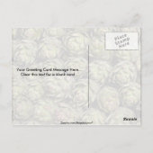 アーティチョーク写真 ポストカード (裏面)