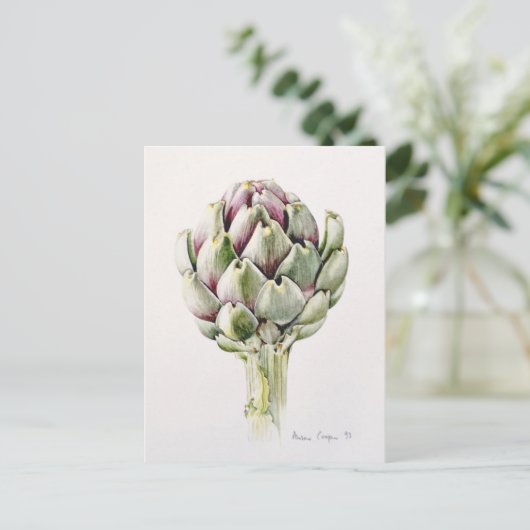 アーティチョーク勉強1993 ポストカード (スタンド正面)