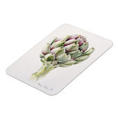 アーティチョーク勉強1993 マグネット (左側)