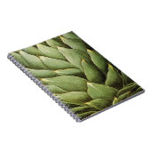 アーティチョーク1613年 ノートブック (右側)