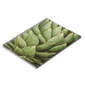 アーティチョーク1613年 ノートブック (左側)