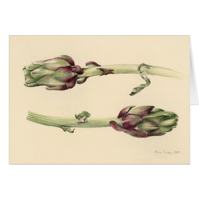 アーティチョーク2005年 (正面横)