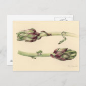 アーティチョーク2005 ポストカード (正面/裏面)