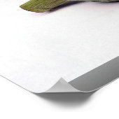 アーティチョーク ポスター (角)