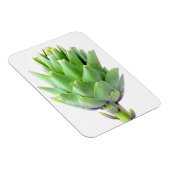 アーティチョーク マグネット (右側)