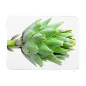 アーティチョーク マグネット (横)