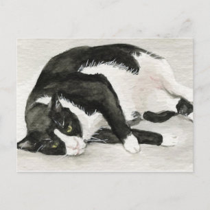 アートのポストカード「くつろげるTuxedo猫」 ポストカード