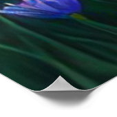 *~アートウーマン座るピックフラワー池AP56 ポスター (角)