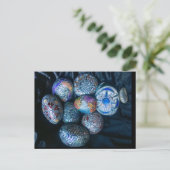 アートカードバイサンディエゴアーティスト – ジュリーアン・ストリックリン ポストカード (スタンド正面)