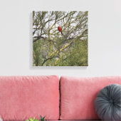 アートキャンバス（鳥）ショウジョウコウカンチョウ キャンバスプリント (インサイチュ (リビング))