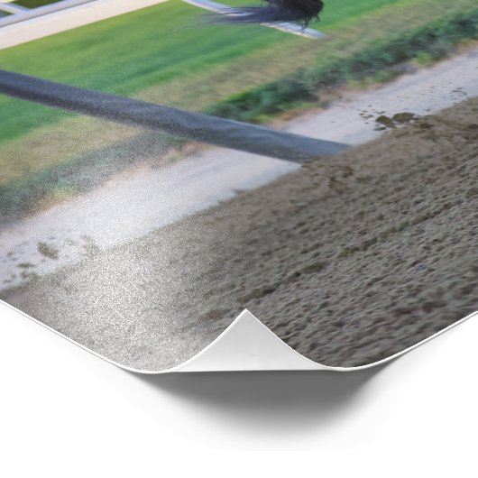 アートコレクターとルイス・サエスがウッドワードを捕らえる フォトプリント (角)