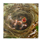 アートタイルを歌う タイル (正面)