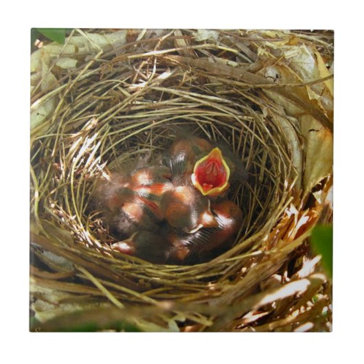 アートタイルを歌う タイル (正面)