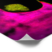 アートダッポップ・アートのシュントドキシースウィート顔ソウルフルアイズ ポスター (角)