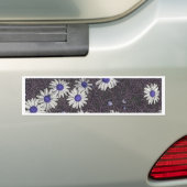 アートデイジー バンパーステッカー (車上)