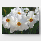 アートデコールのプラーク – フラワープラーク フォトプラーク (正面)