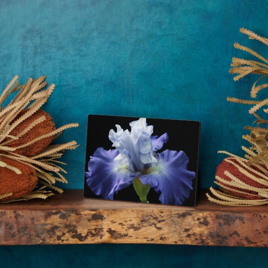 アートデコールプラーク – アイリス斑 フォトプラーク (側面)