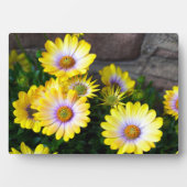 アートデコールプラーク フォトプラーク (正面)