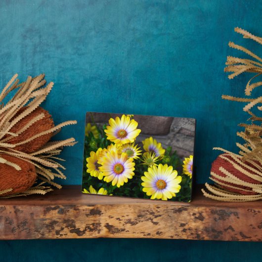 アートデコールプラーク フォトプラーク (側面)